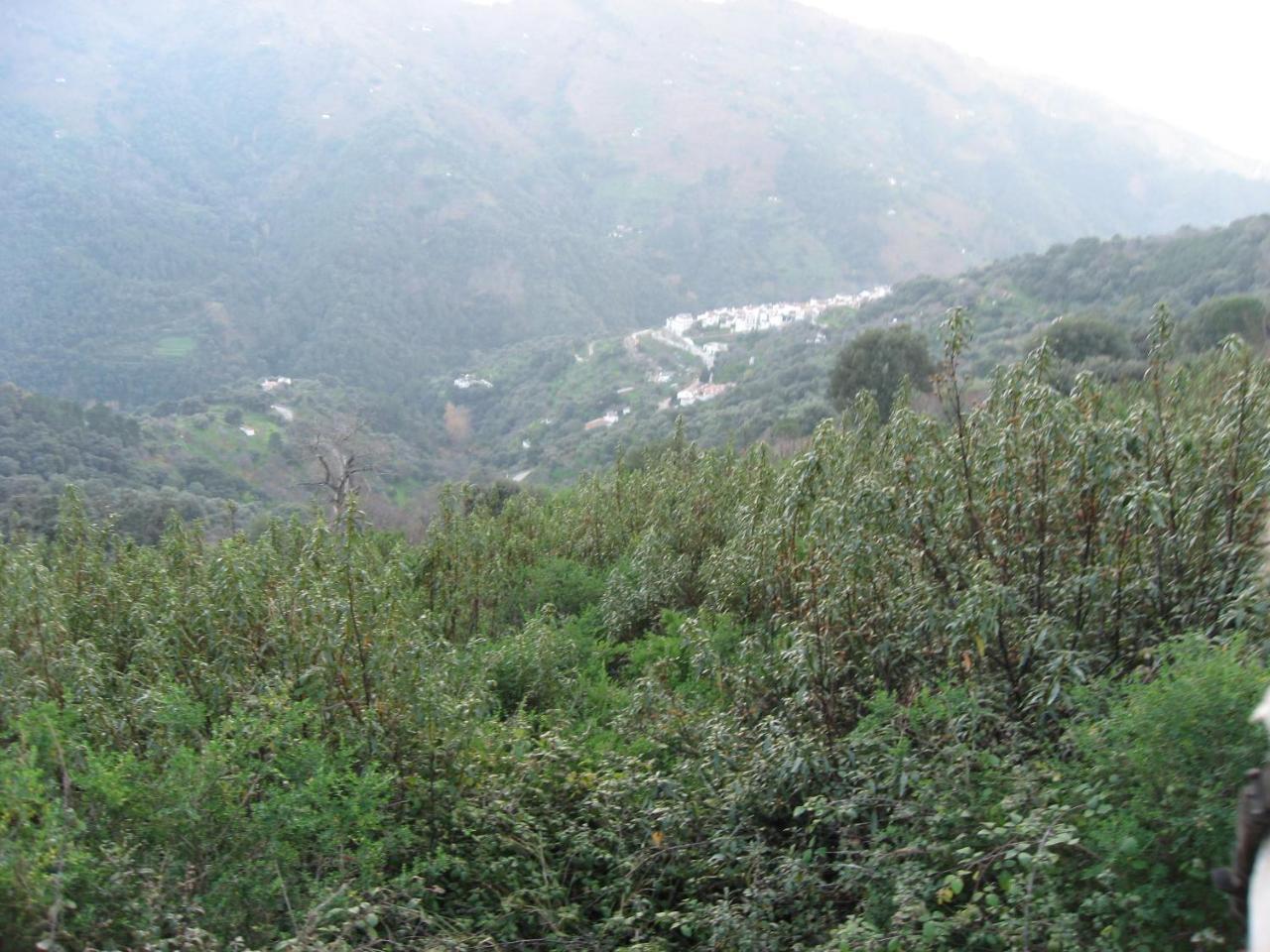 Apartamentos Rurales Mirador De Jubrique מראה חיצוני תמונה